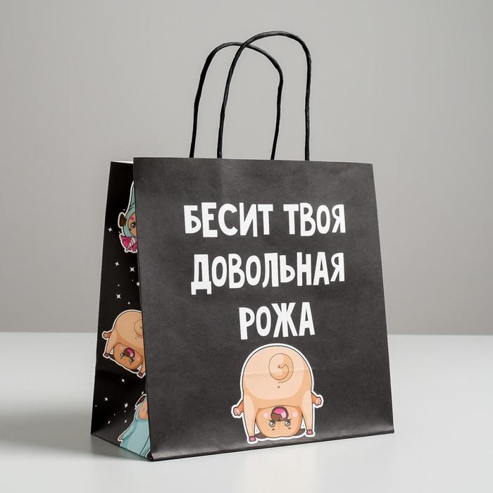 

Пакет подарочный «Бесит», 22 х 22 х 11 см, Черный, Приколы "Жизненно"