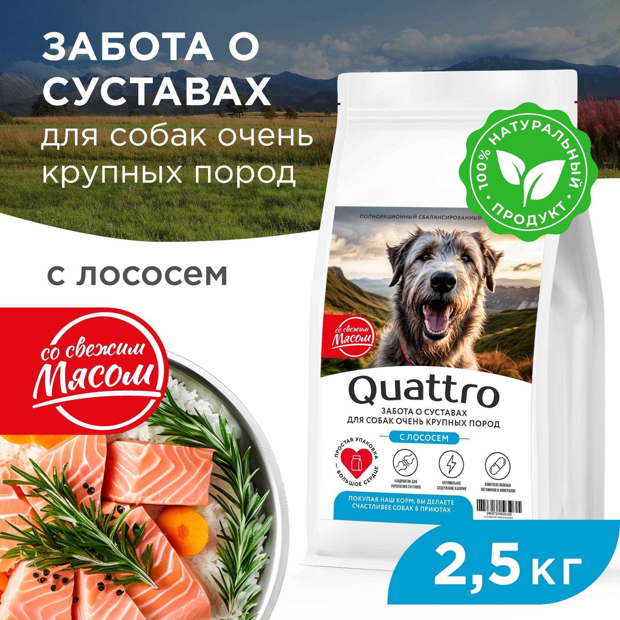 Сухой корм для собак QUATTRO, Большие породы премиум, забота о суставах, лосось, 2,5 кг