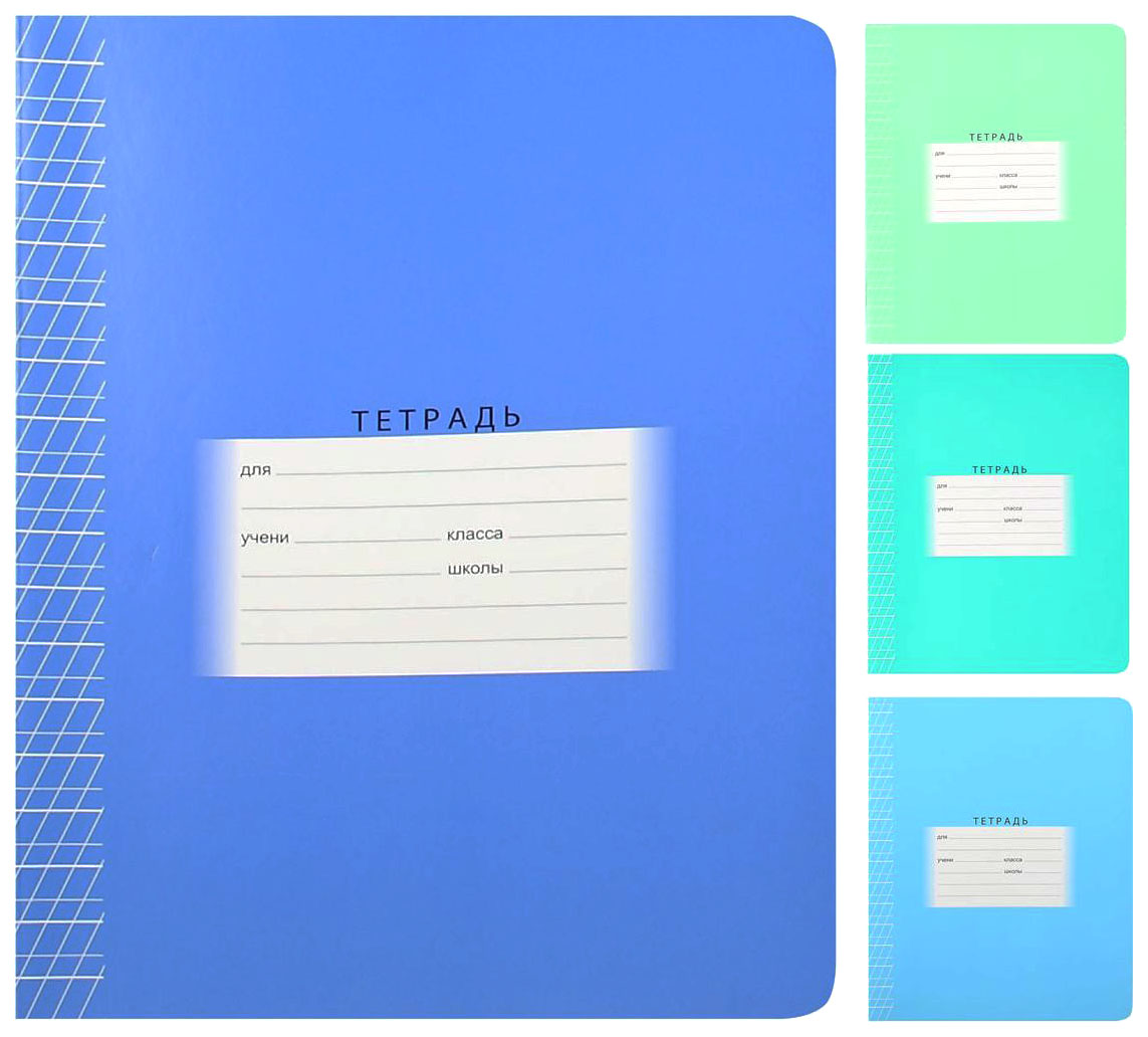 

Тетрадь BG А5 школьная две линии с частыми наклонными 12 листов в ассортименте