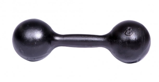 Неразборная гантель Titan Литая 1 x 8 кг, черный