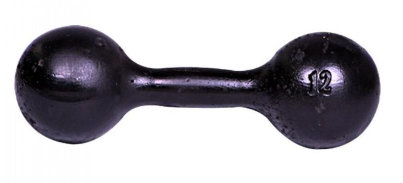 Неразборная гантель Titan Литая 1 x 12 кг, черный