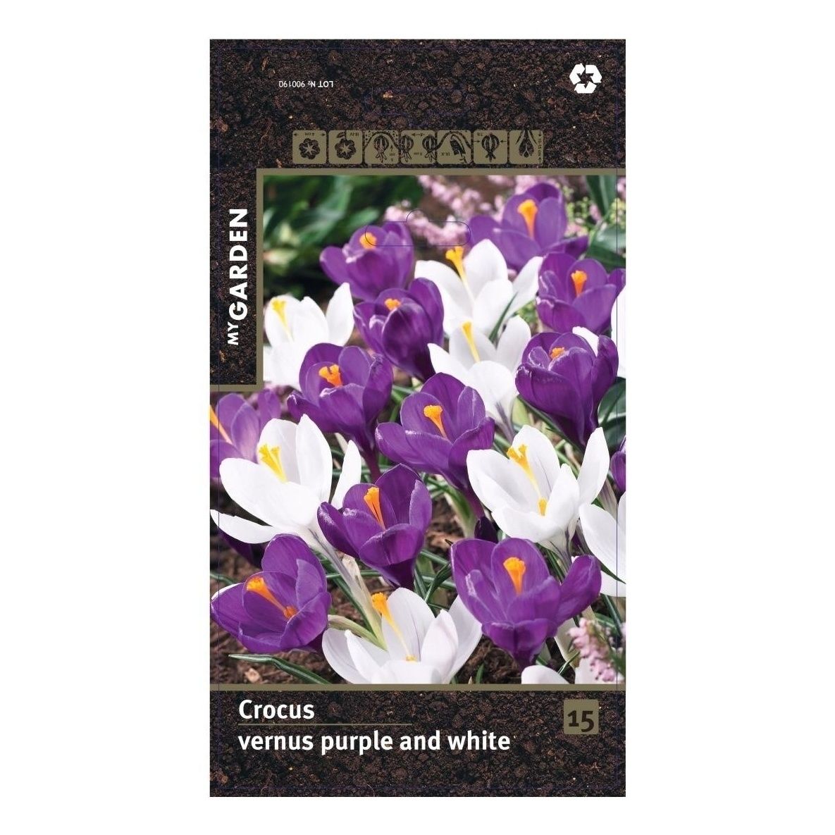 Крокус Vernus purple and white My Garden 15 шт