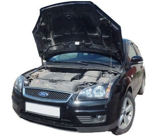 

Амортизатор (упор) капота на Ford Focus 2 03-02/2(с 2004 по 2008 г.в.)Autoinnovation