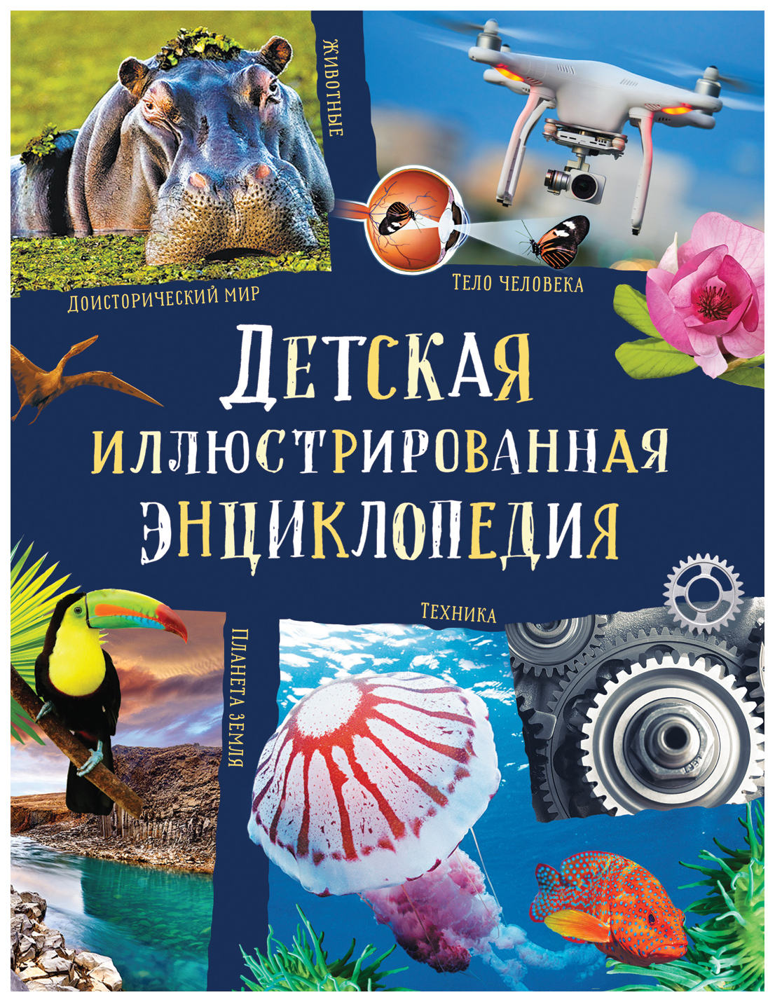 

Детская иллюстрированная энциклопедия, 985-201