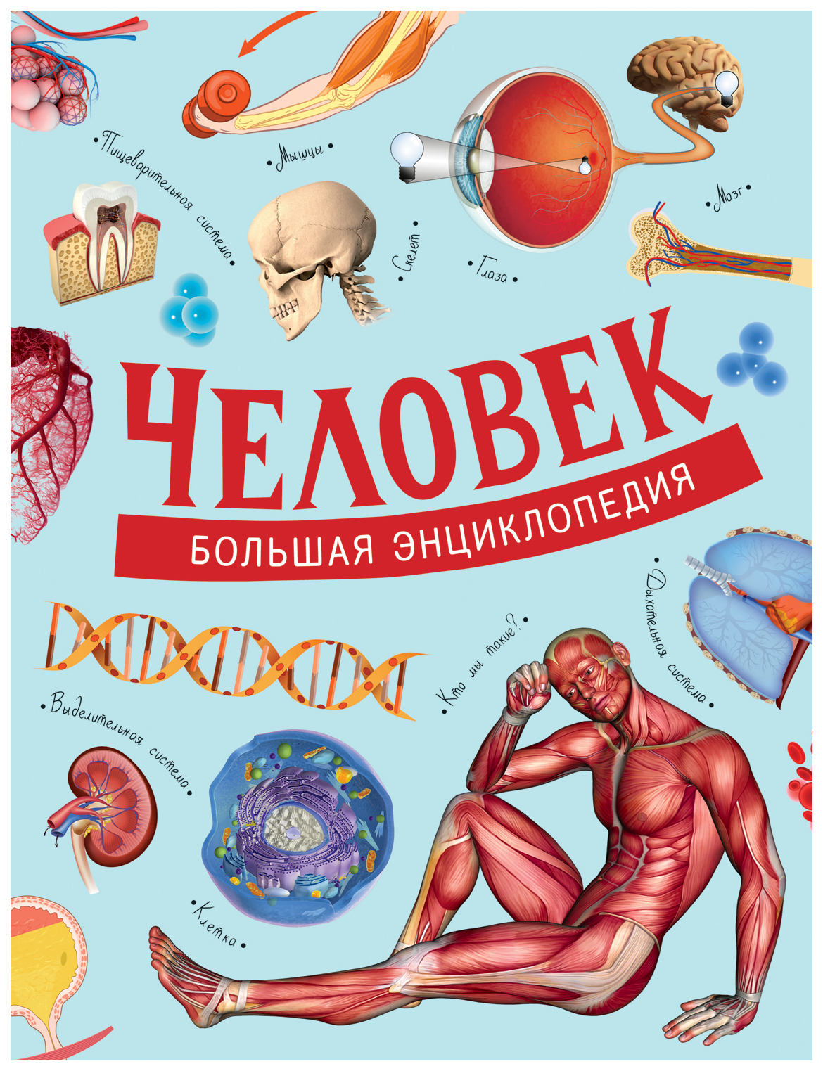 

Человек. Большая энциклопедия, 986-371