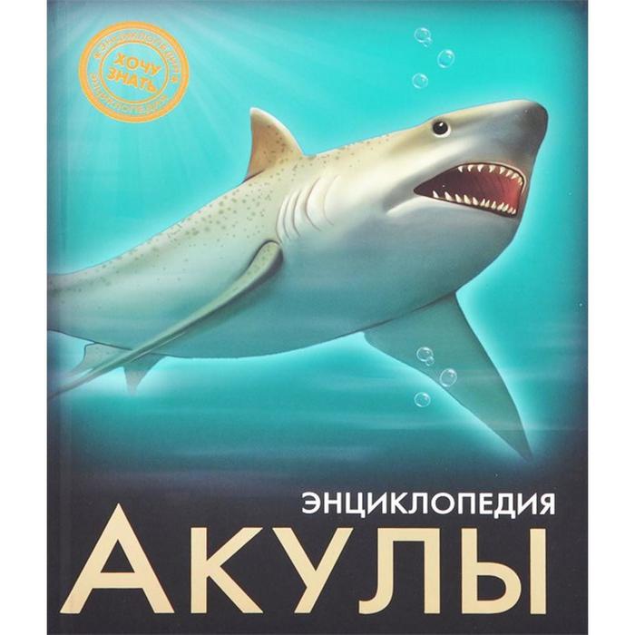 Акулы 100053840457