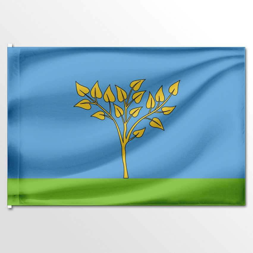 

Флаг ЦТП ФЕНИКС сельского поселения Вялковское 135x90 см, 1808-135x90