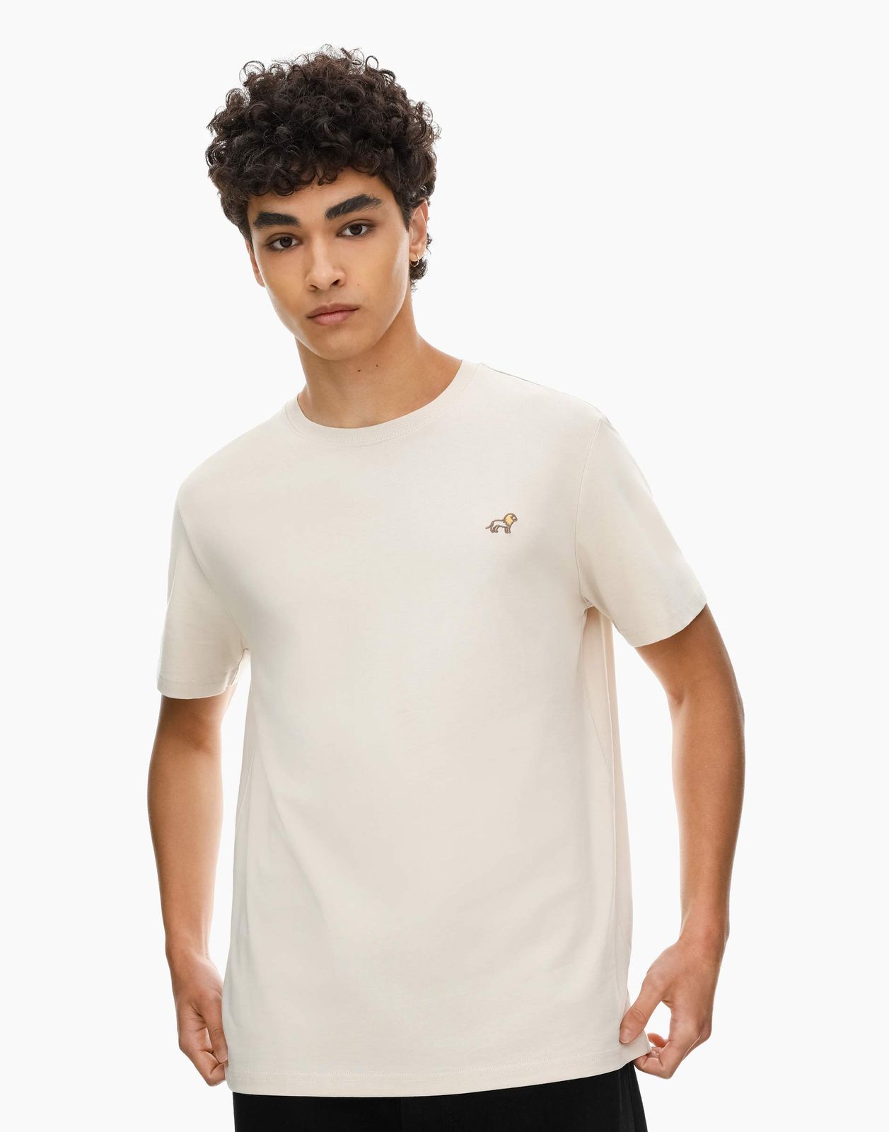 

Футболка мужская Gloria Jeans BKT012079 бежевая S, Бежевый, BKT012079