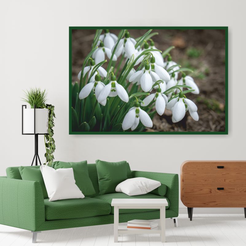 

Постер на стену ПолиЦентр Цветущие Лесные Подснежники 70х50 см, ЦветущиеЛесныеПодснежники