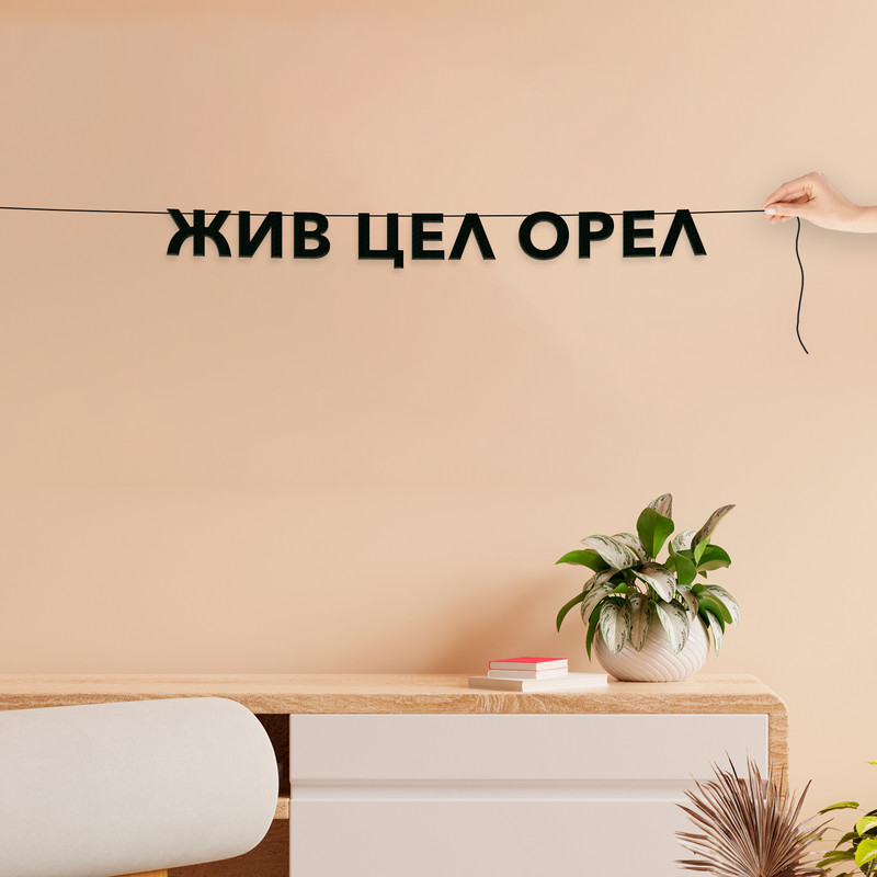 

Гирлянда-растяжка Жив Цел Орел VN703 черная, Черный, Жив Цел Орел