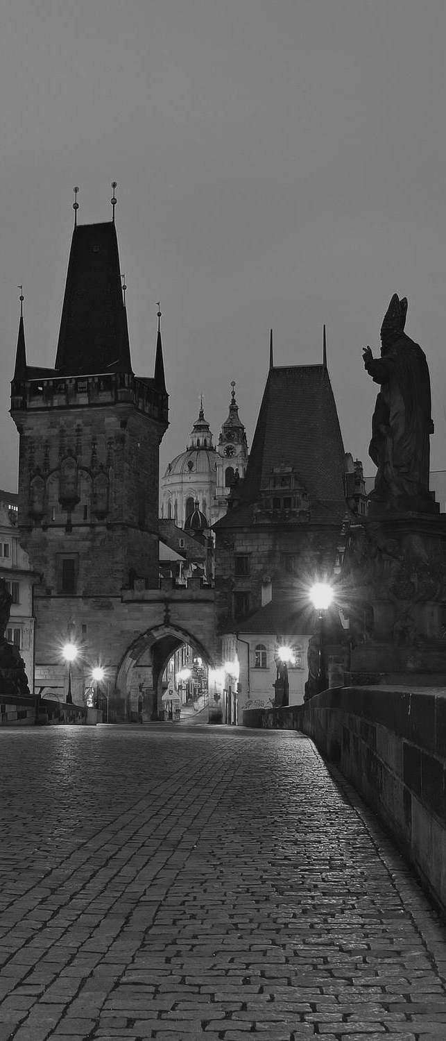 фото Самоклеющиеся фотообои "прага, статуи святых", 90x210 см, эффект сепия, отраженный фотообои.рф