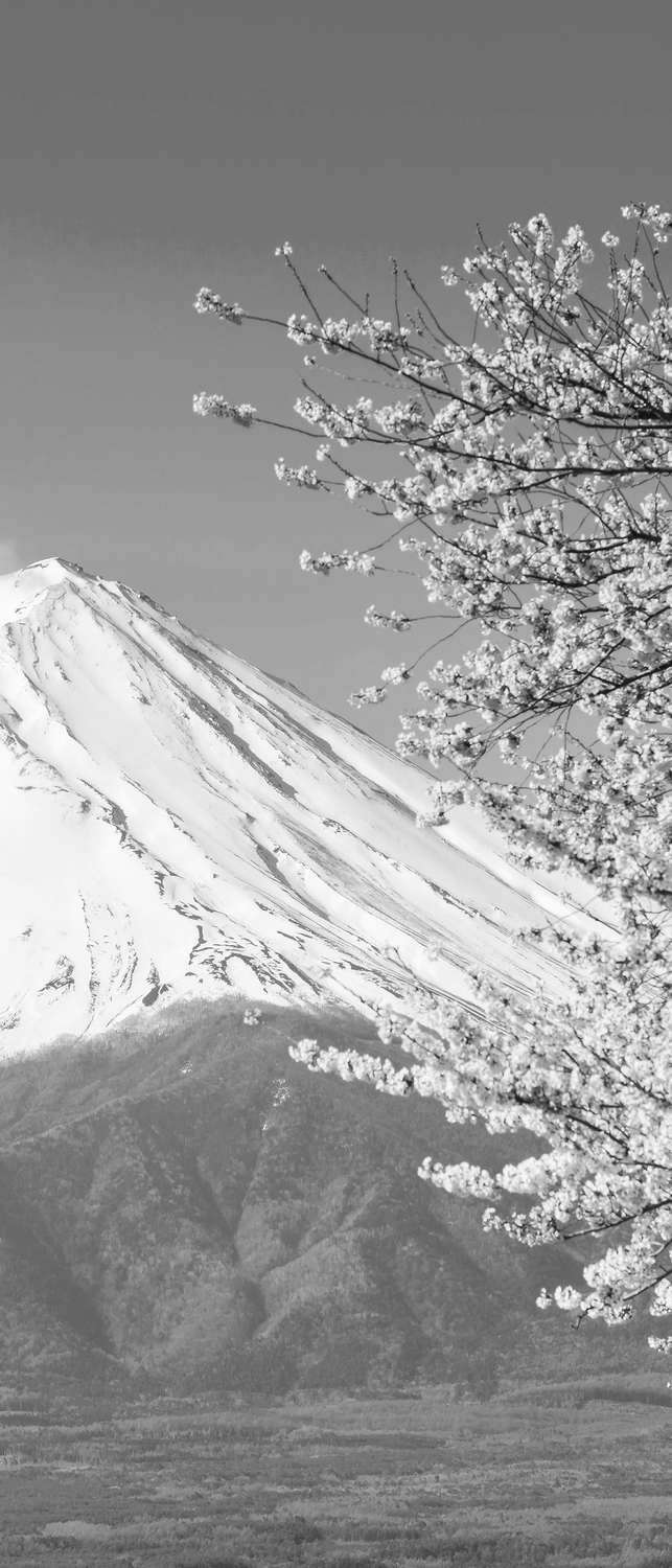фото Самоклеющиеся фотообои "гора фудзи на озере кавагутико", 90x210 см, эффект черно-белый фотообои.рф