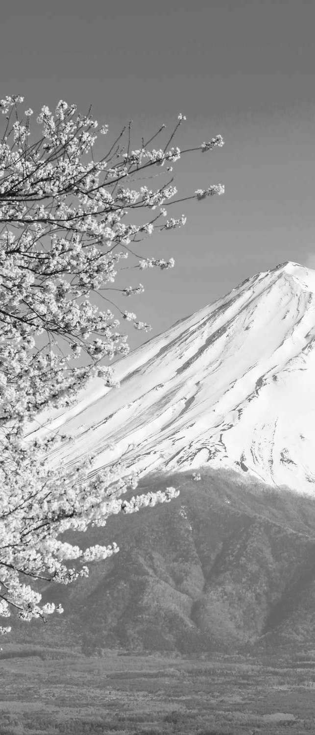 фото Самоклеющиеся фотообои "гора фудзи на озере кавагутико", 90x210 см, эффект черно-белый фотообои.рф