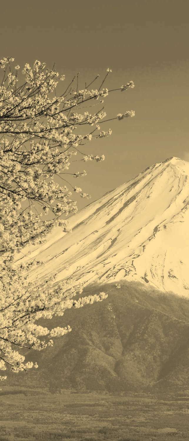 фото Самоклеющиеся фотообои "гора фудзи на озере кавагутико", 90x210 см, эффект сепия фотообои.рф