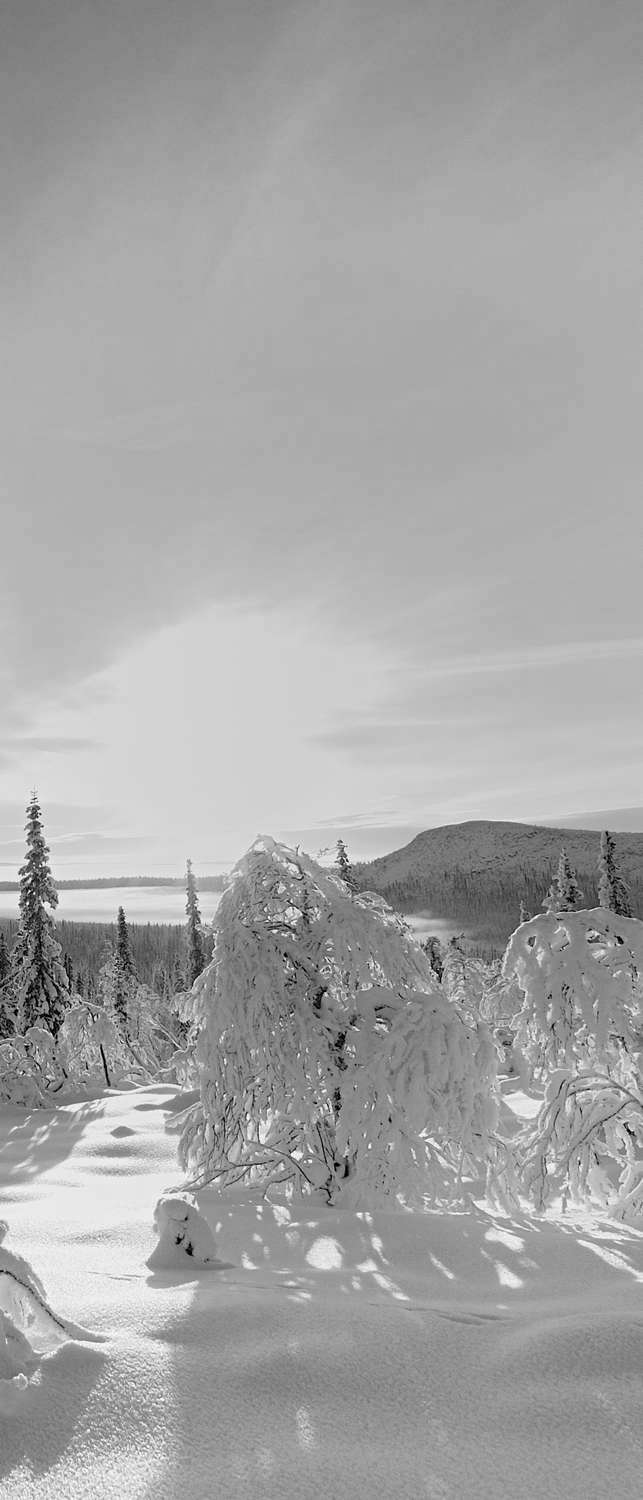 фото Самоклеющиеся фотообои "зимний пейзаж, швеция", 90x210 см, эффект черно-белый фотообои.рф