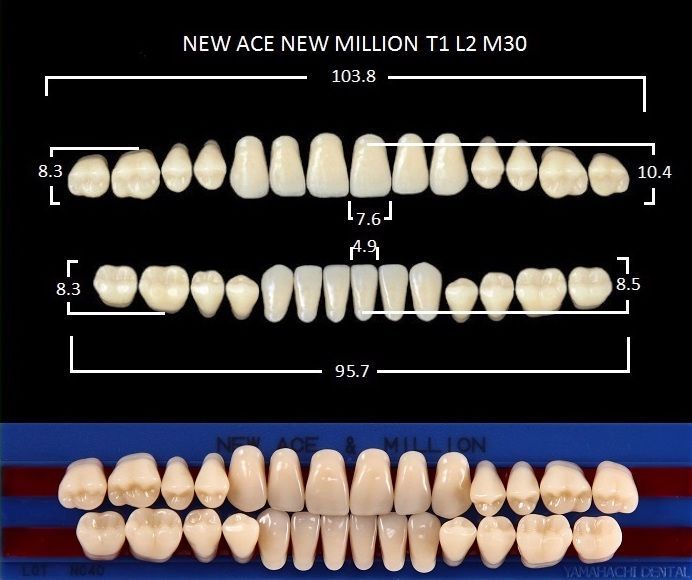 

Зубы акриловые A4 T1, NEW ACE/NEW MILLION, полный гарнитур 28 шт. YAMAHACHI, Зубы полный гарнитур 28шт. NEW ACE NEW MILLION