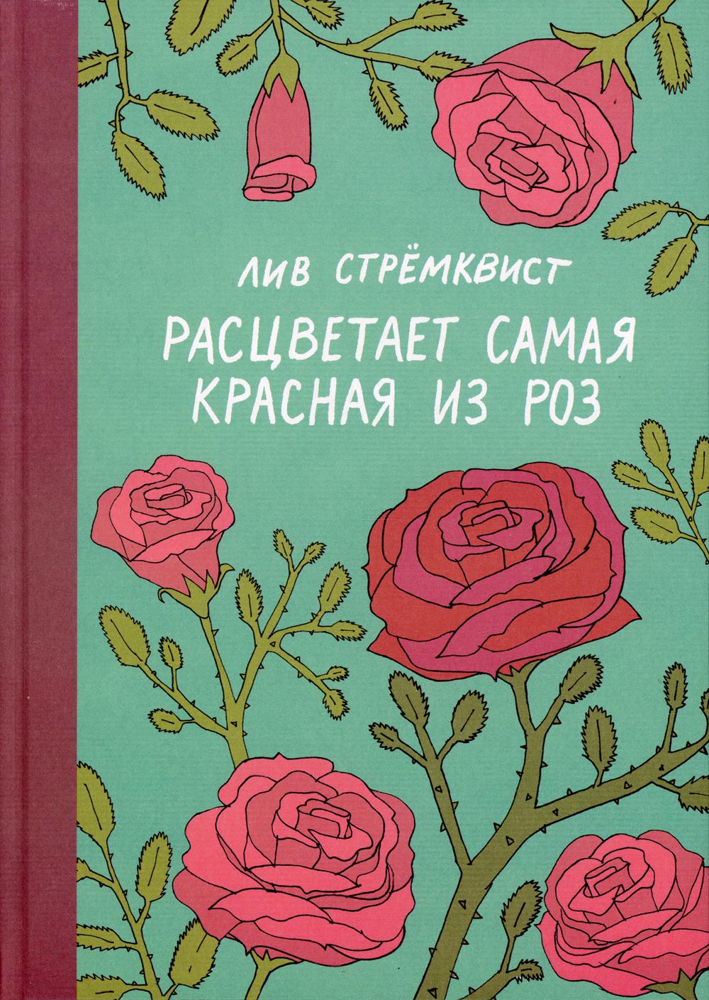 

Расцветает самая красная из роз