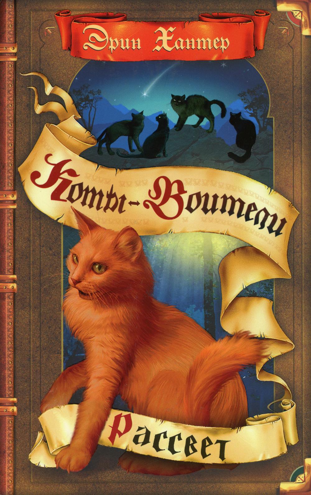 

Книга Рассвет