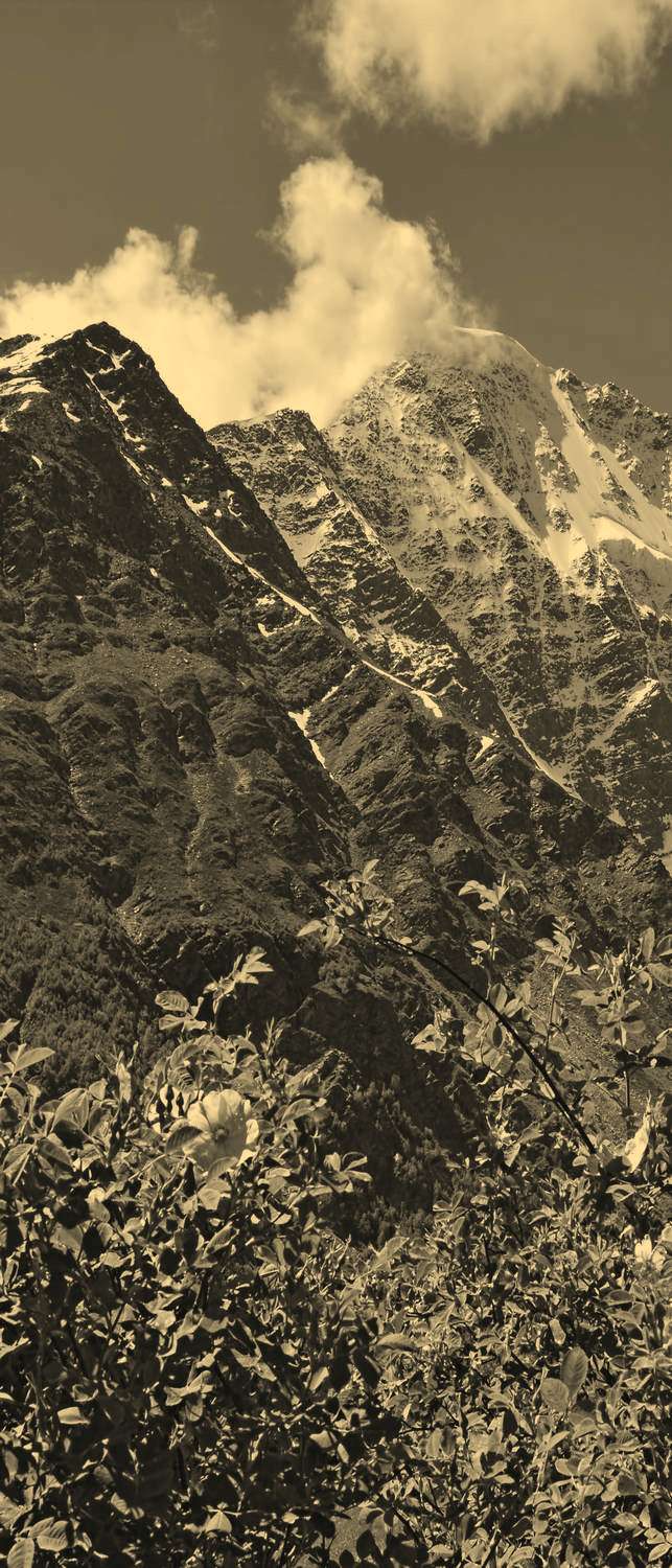 фото Самоклеющиеся фотообои "кавказ, гора донгуз", 90x210 см, эффект сепия фотообои.рф
