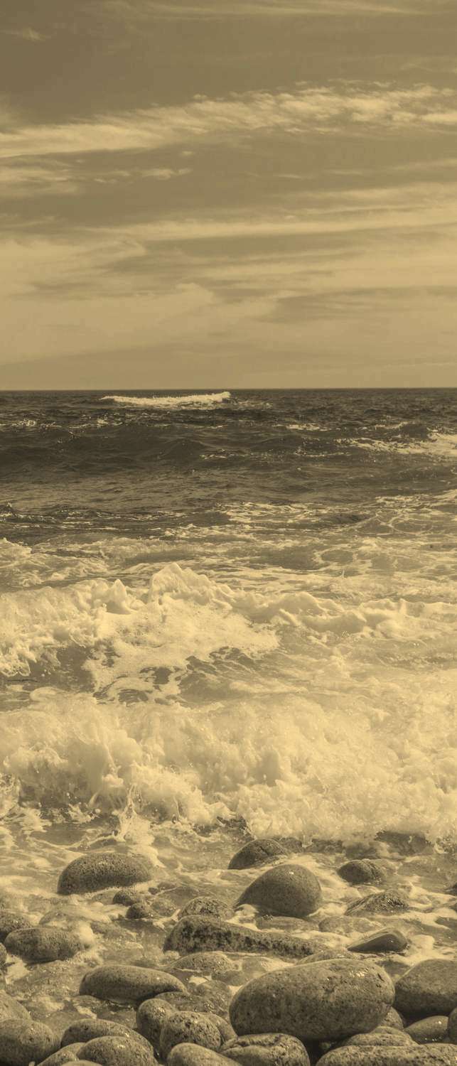 

Самоклеющиеся фотообои "Бухта Дункана, камни", 90x210 см, эффект сепия