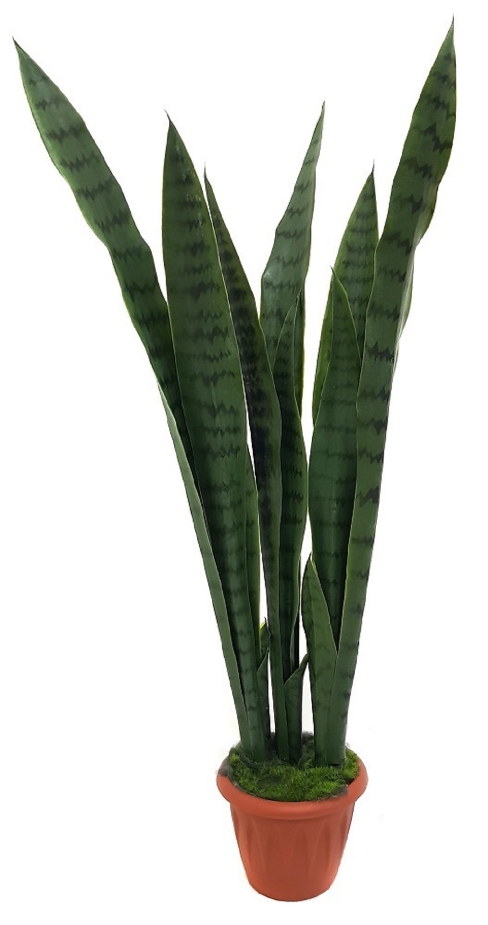 

Искусственное растение Сансевиерия, Зеленый