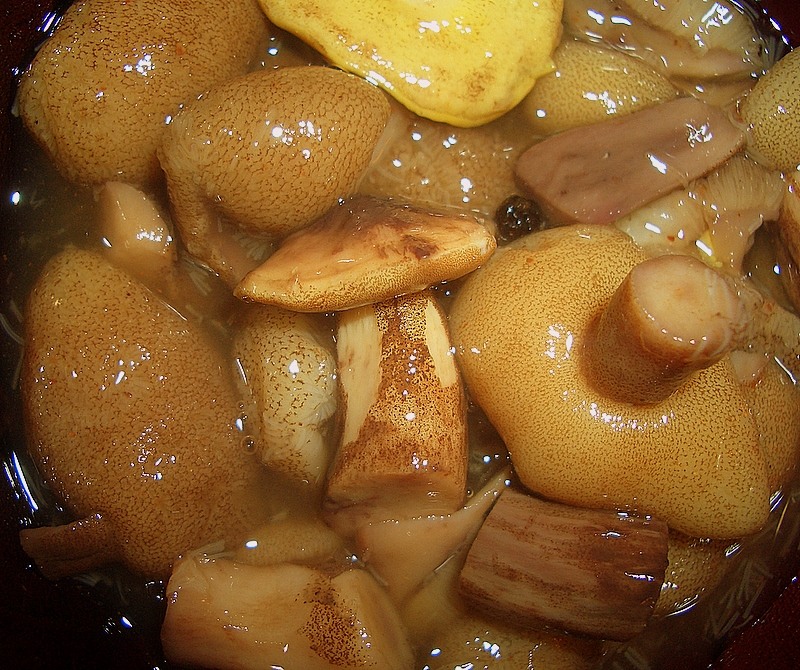 

Маслята бочковые соленые