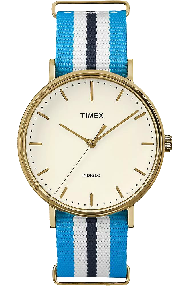 Наручные часы мужские Timex TW2P91000 белые/голубые