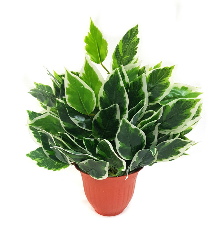 

Искусственное растение композиция, Зеленый