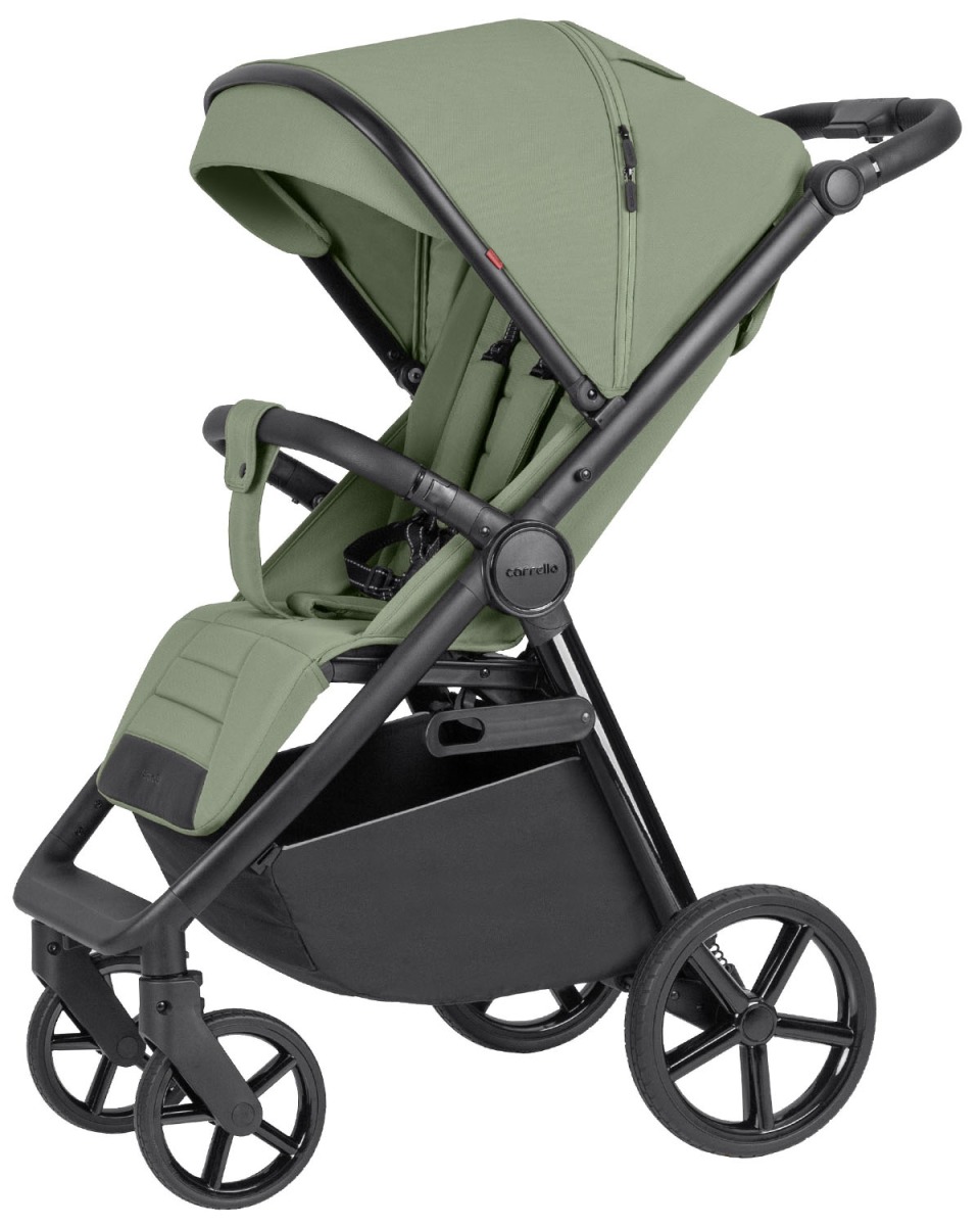 

Прогулочная коляска Carrello Bravo SL CRL-5520, 2024 Fruit Green Зеленый, Bravo SL