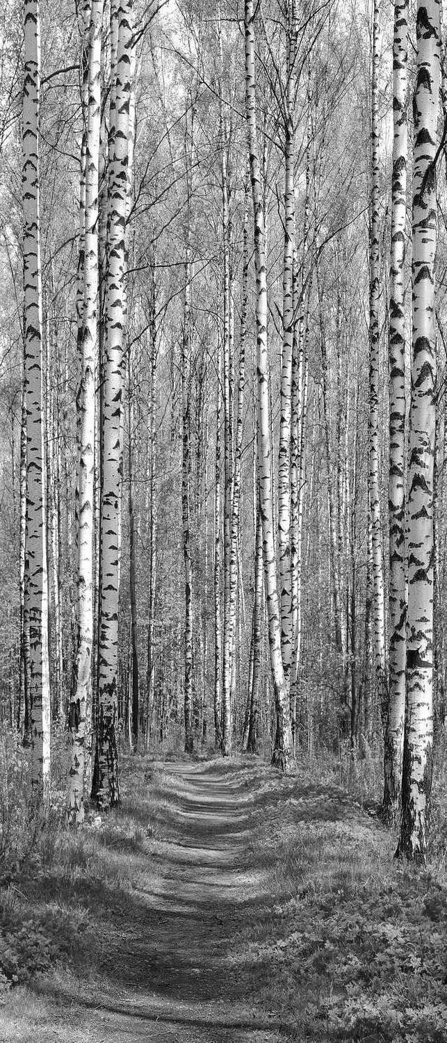 фото Самоклеющиеся фотообои "березовый парк весной", 90x210 см, эффект черно-белый, отраженный фотообои.рф