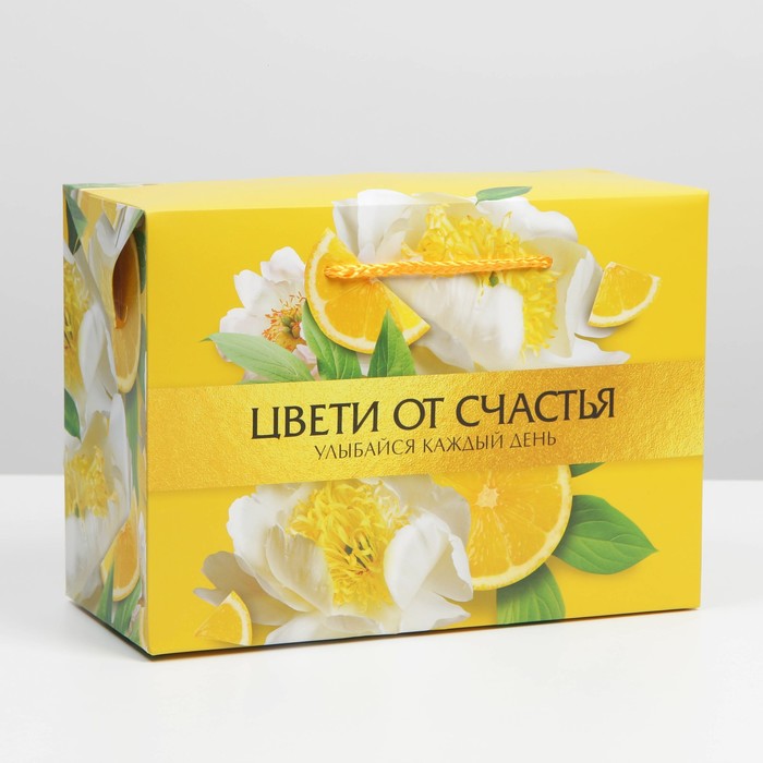 

Пакет—коробка «Lemon», 28 × 20 × 13 см, Коллекция упаковки "Летняя"