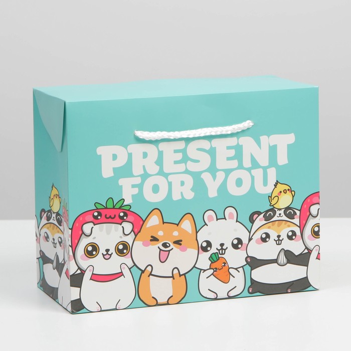 

Пакет—коробка «Present», 23 х 18 х 11 см, Бирюзовый, Коллекция упаковки "Персонажи"