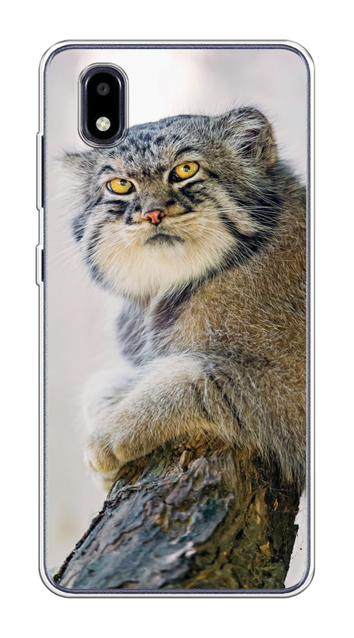 

Чехол на ZTE Blade A3 (2020) "Кот манул 1", Серый;белый;желтый, 133650-1