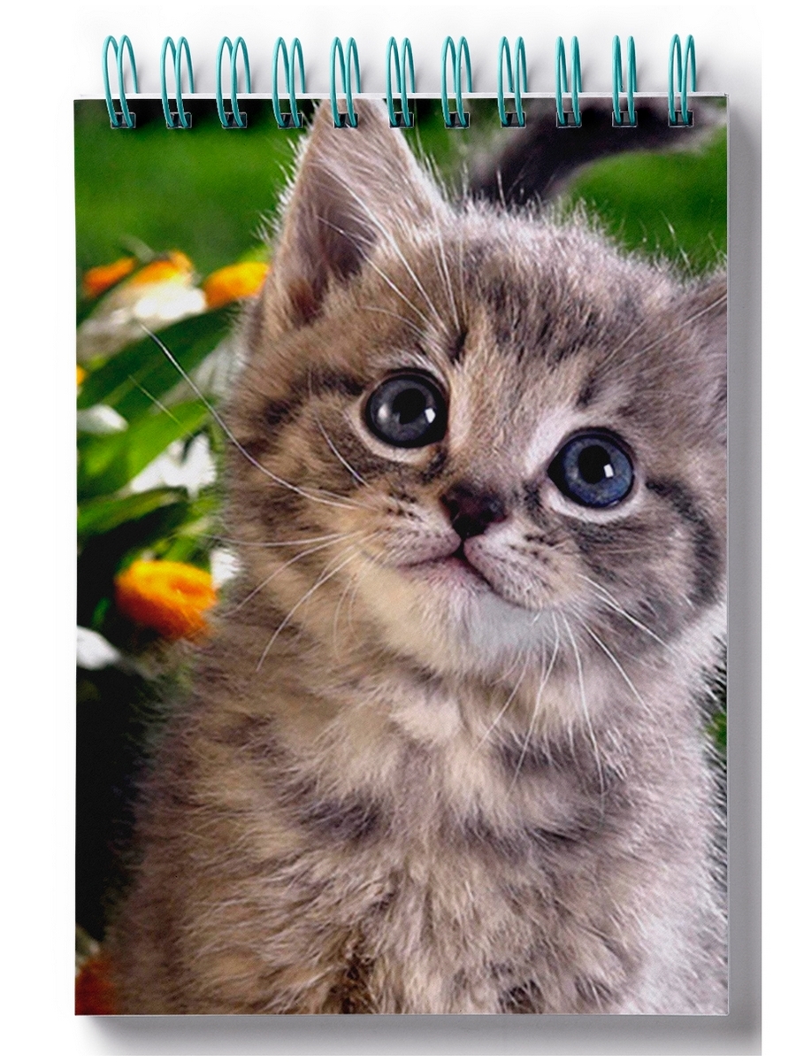 

Блокнот DRABS котенок в цветах