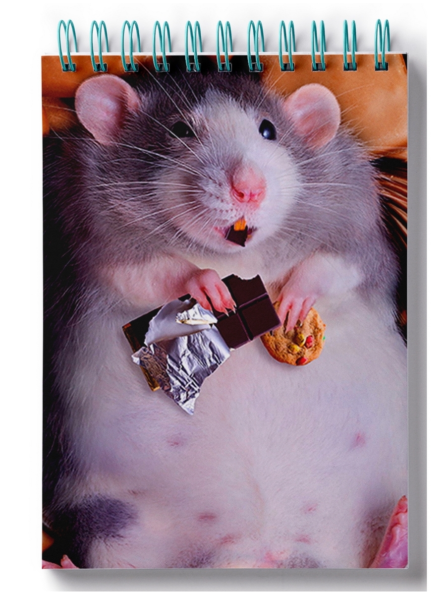 

Блокнот DRABS Мышь с шоколадкой