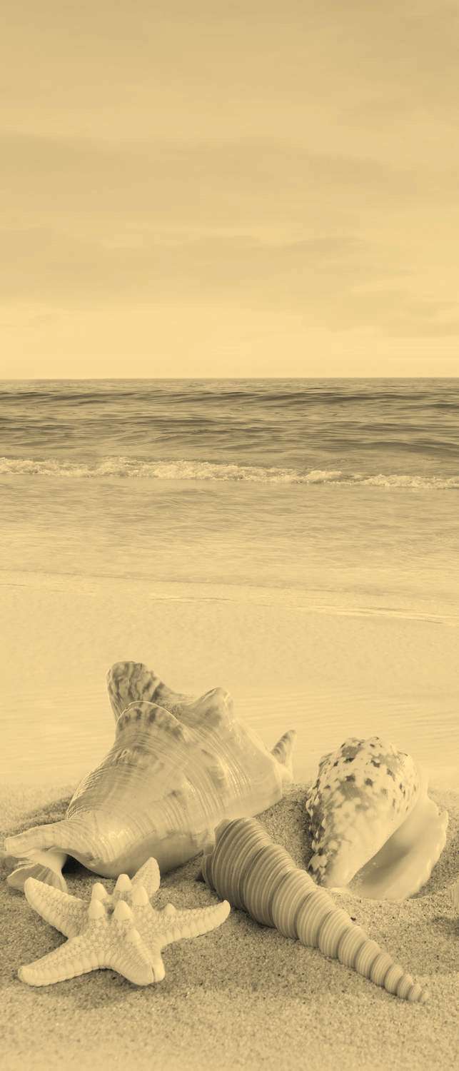 фото Самоклеющиеся фотообои "тропический пляж", 90x210 см, эффект сепия фотообои.рф