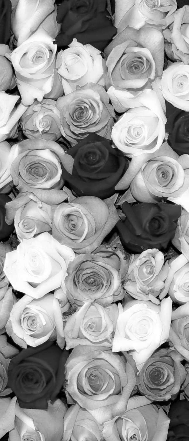 фото Самоклеющиеся фотообои "мозаика из роз 1", 90x210 см, эффект черно-белый, отраженный фотообои.рф