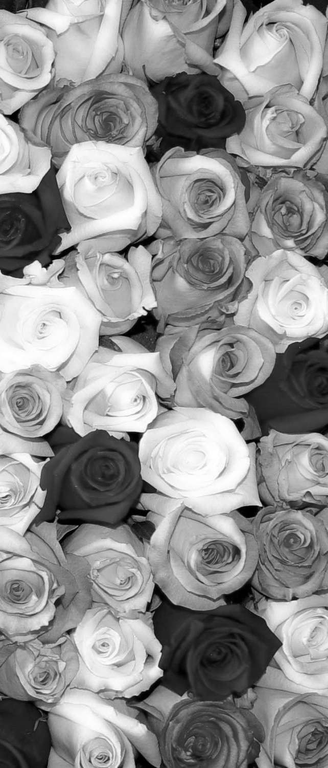 фото Самоклеющиеся фотообои "мозаика из роз 2", 90x210 см, эффект черно-белый, отраженный фотообои.рф