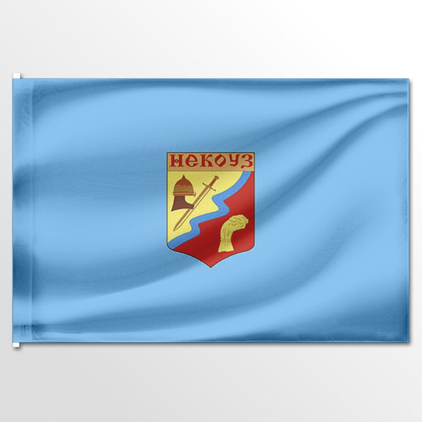 

Флаг ЦТП ФЕНИКС Некоузского района 135x90 см, 2837-135x90