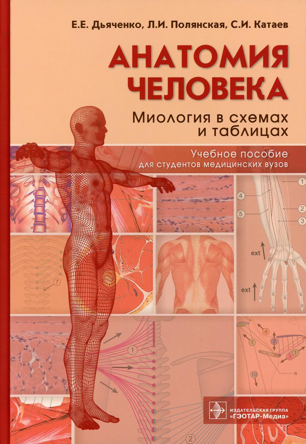 фото Книга анатомия человека: миология в схемах и таблицах гэотар-медиа