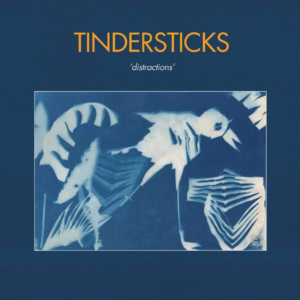 

Tindersticks / Distractions (LP)