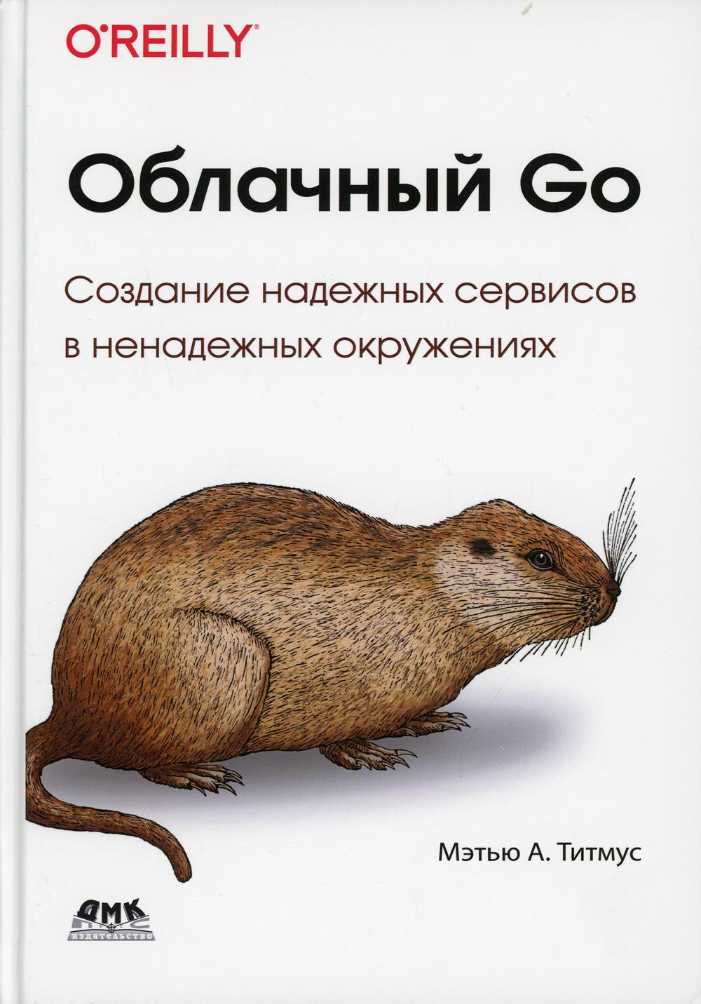 фото Книга облачный go дмк пресс