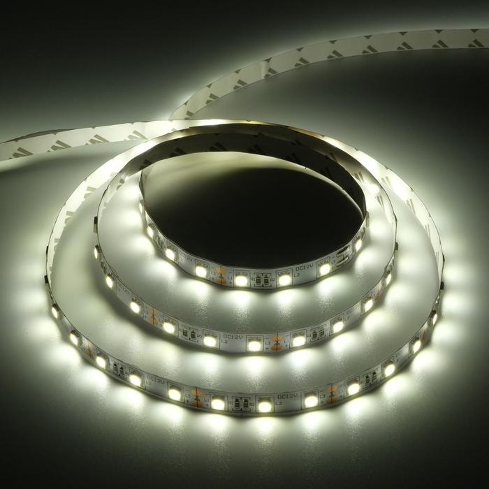 фото Светодиодная лента ecola pro, 12в, smd5050, 3 м, ip20, 14.4вт/м, 60 led/м, 4200к nobrand