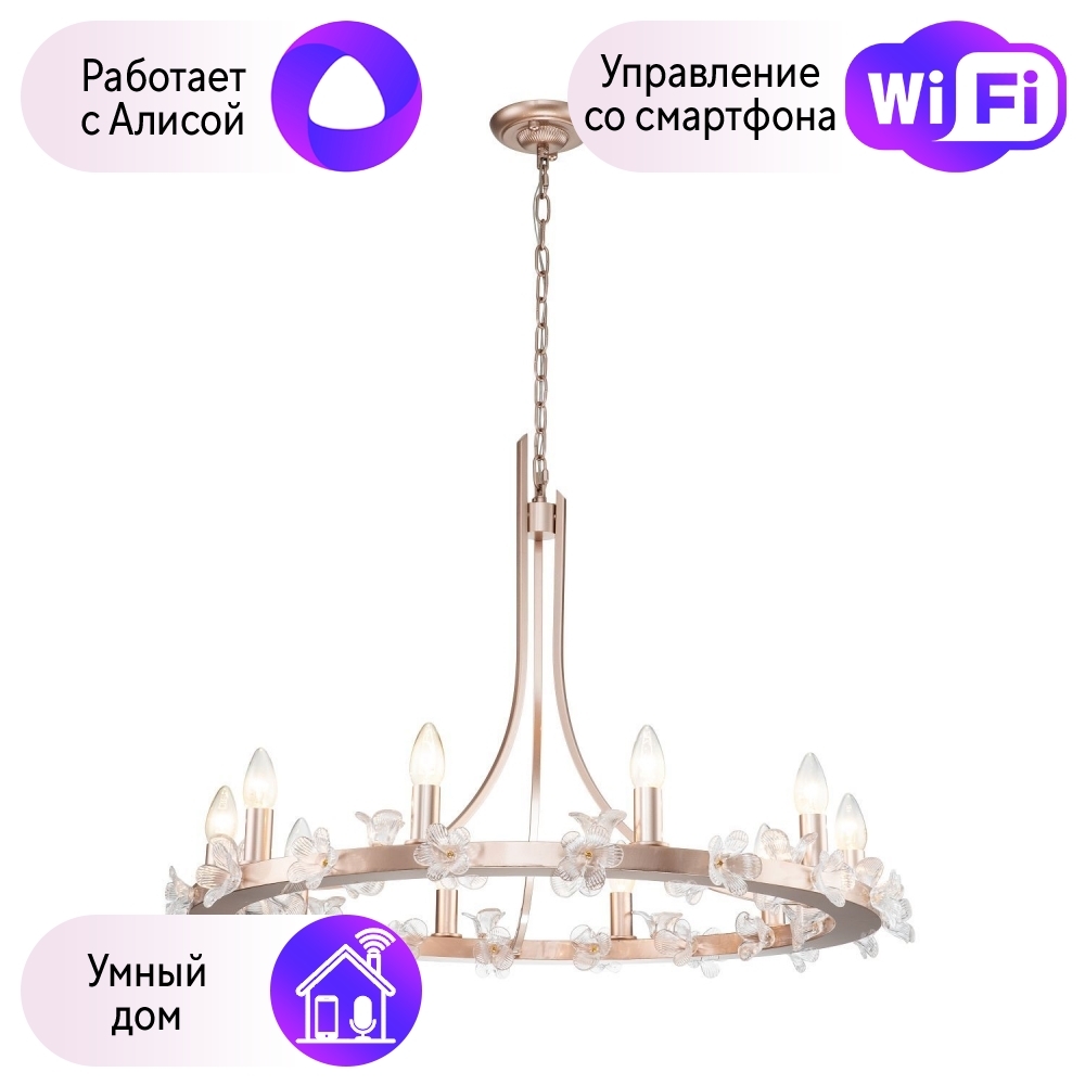 

Подвесная люстра Favourite Palmira с поддержкой Алиса 2967-10P-A