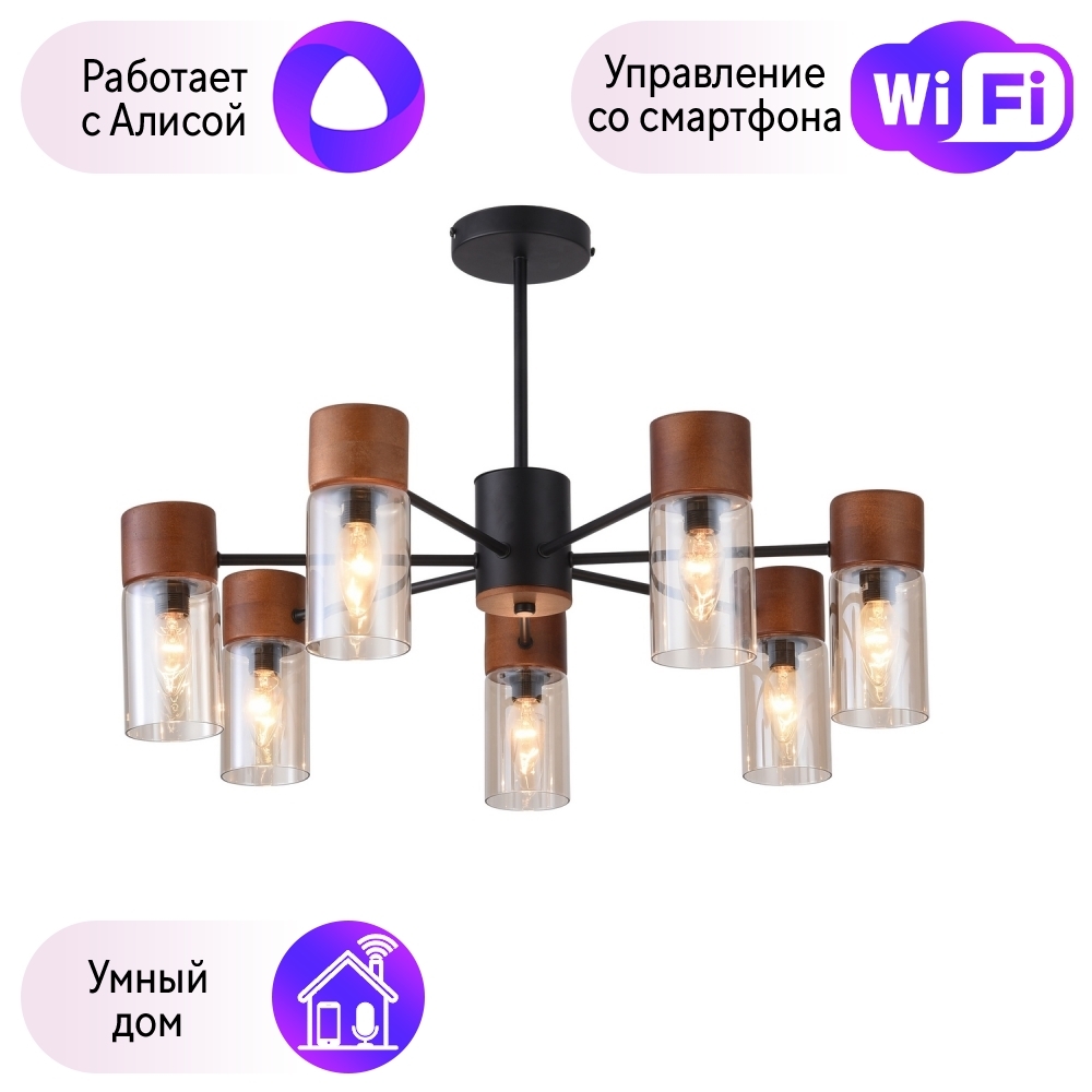 

Люстра на штанге F-Promo Torr с поддержкой Алиса 2633-7P-A