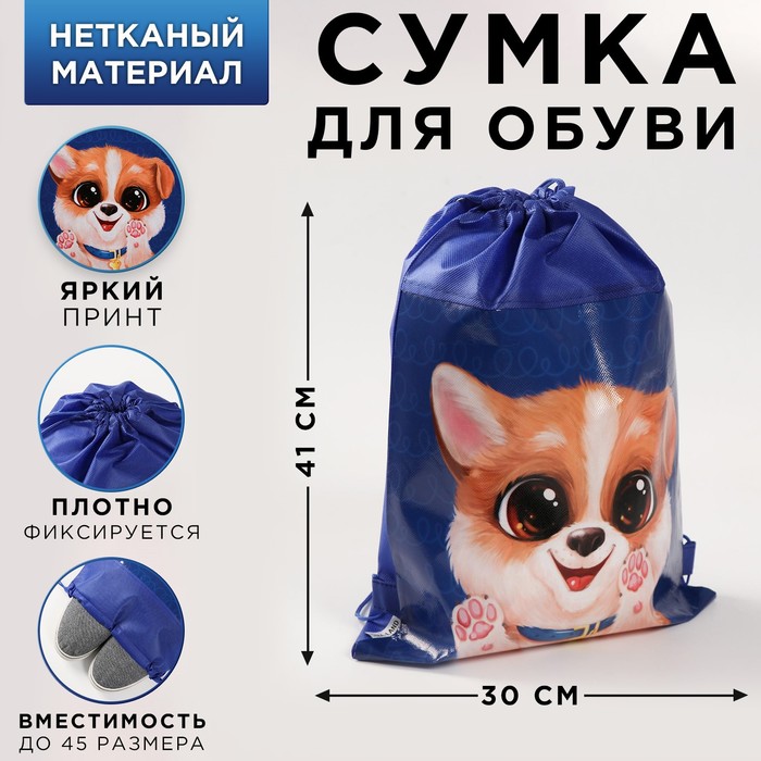 

ArtFox STUDY Сумка для обуви "Собака" 41*30*0,5см, Синий