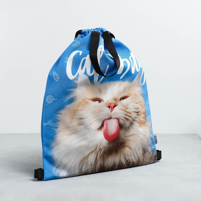 

ArtFox STUDY Сумка для обуви «Cat Bag», два вида ручек, 41х31 см, Разноцветный