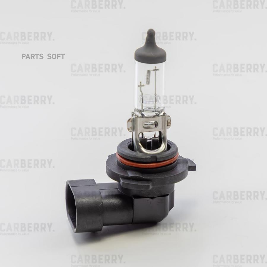 

Лампа HB4 12V (51W) Day&Night
