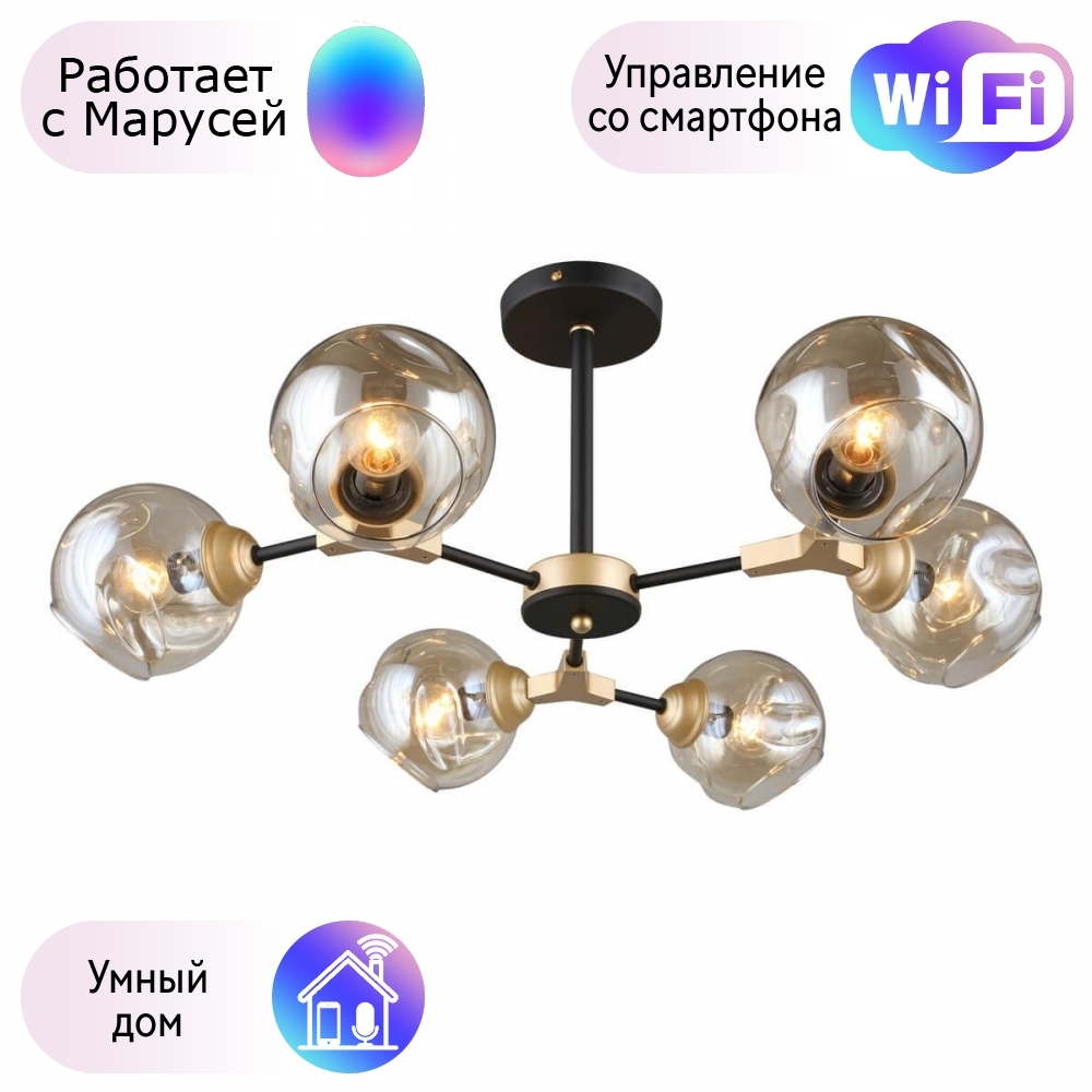 

Люстра с поддержкой Маруси потолочная Omnilux OML-93607-06-M