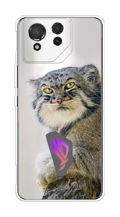 

Чехол на Asus ROG Phone 8 "Кот манул 1", Серый;белый;желтый, 45150-1